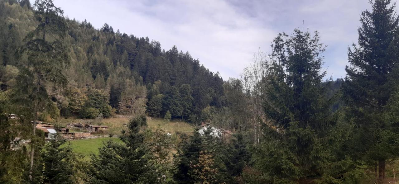 Le Montagnard Leilighet Gérardmer Eksteriør bilde