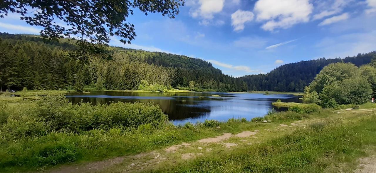 Le Montagnard Leilighet Gérardmer Eksteriør bilde