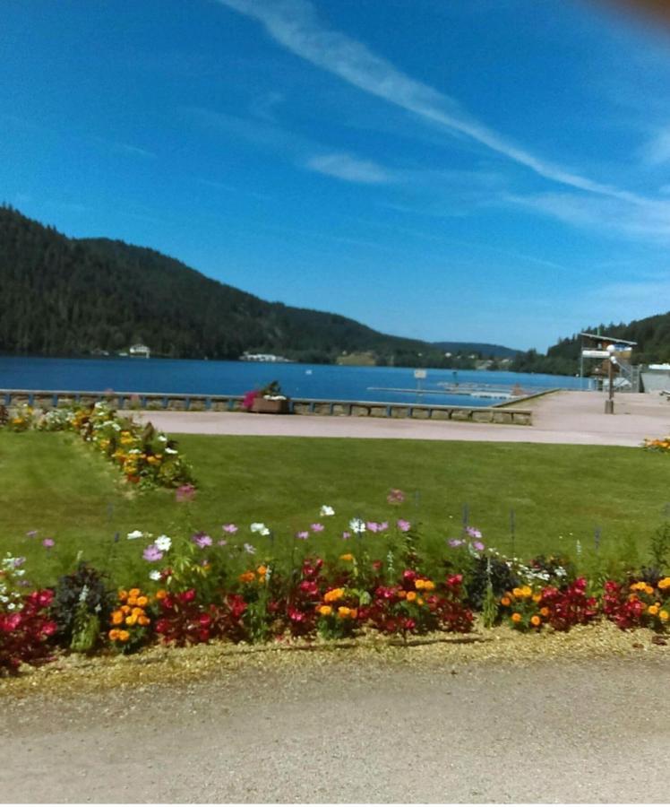 Le Montagnard Leilighet Gérardmer Eksteriør bilde