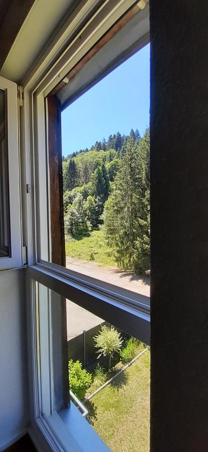 Le Montagnard Leilighet Gérardmer Eksteriør bilde